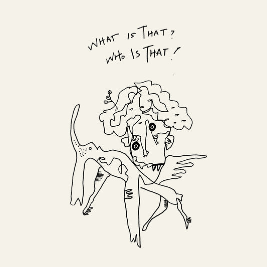 What is that?